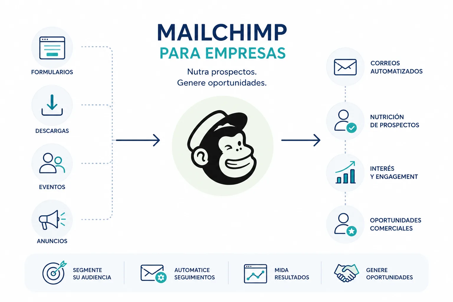 mailchimp para empresas